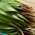черемша для приготовления
