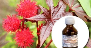Рецепты с касторовым маслом для красоты