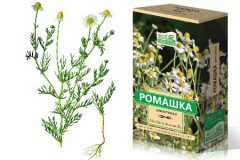 ромашка трава