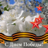 С Днем Победы