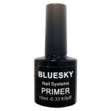 праймер bluesky