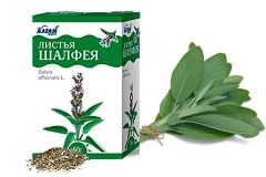 Шалфей